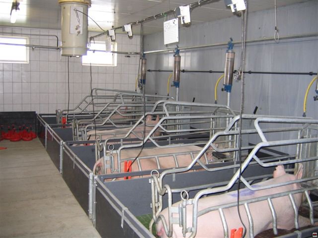 Troubelice 2006 036.jpg